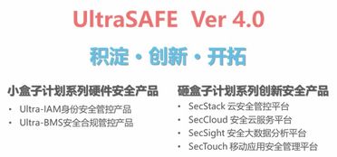 泰岳安全發(fā)布企業(yè)信息安全管控新品Ultrasafe 4.0，引領信息技術咨詢服務新紀元