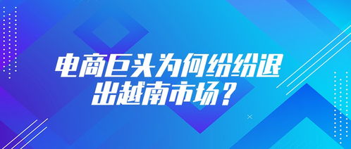 電商巨頭折戟越南 從樂(lè)天退市看外來(lái)者的本土化困境